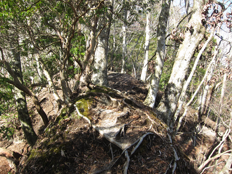 20200110hike (130)